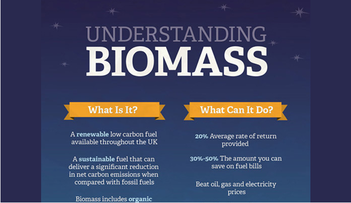 Pros et cons de la biomasse